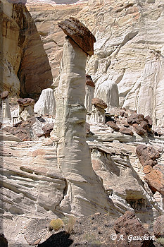 Großer Hoodoo